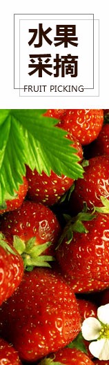 德信网页版入口